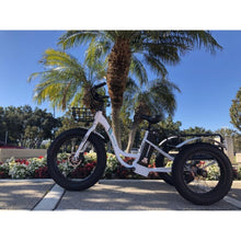 Load image into Gallery viewer, Emojo Caddy 500W 48V Fat Tire Electric Tricycle - EBK12-04
