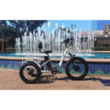 Load image into Gallery viewer, Emojo Caddy Pro 500W 48V Fat Tire Electric Tricycle - EBK12-02
