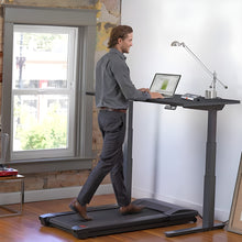 Load image into Gallery viewer, Lifespan TR800 DT3 Under Desk Treadmill TR800DT3
