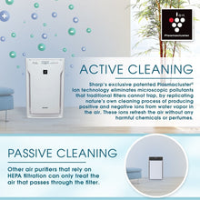 Load image into Gallery viewer, Sharp - Air Purifier, True HEPA, Plasmacluster (Extra Large Rooms) - FP-A80UW
